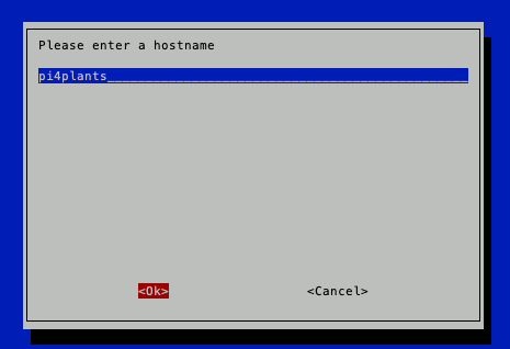 20191022 raspi-config with pi4plants as input to new hostname