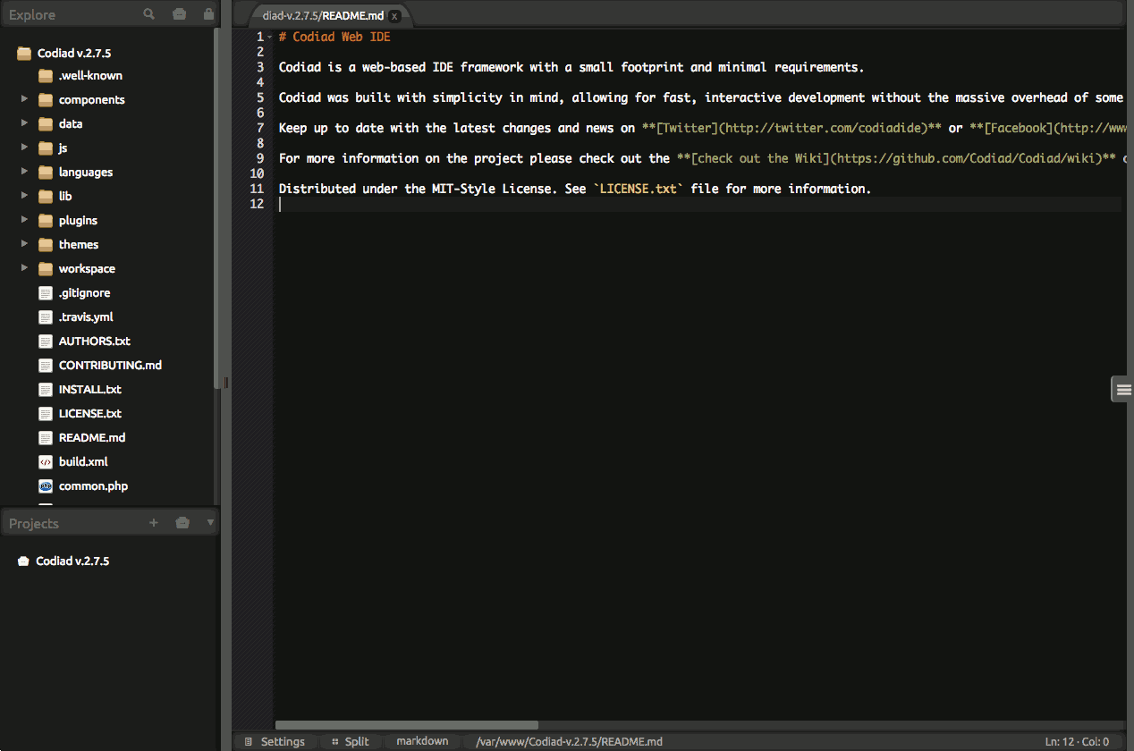 Codiad project explorer screen shot