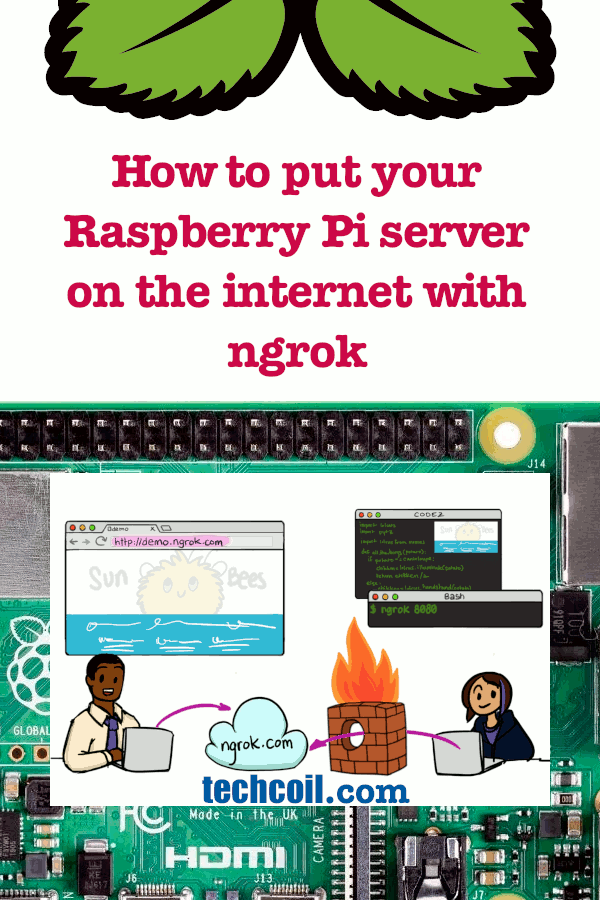 How to put your Raspberry Pi server on the internet with ngrok