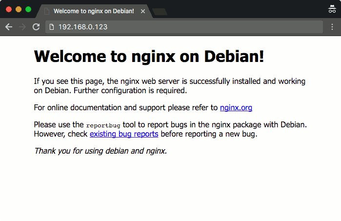 accessing nginx after installation on Raspbian Jessie Lite