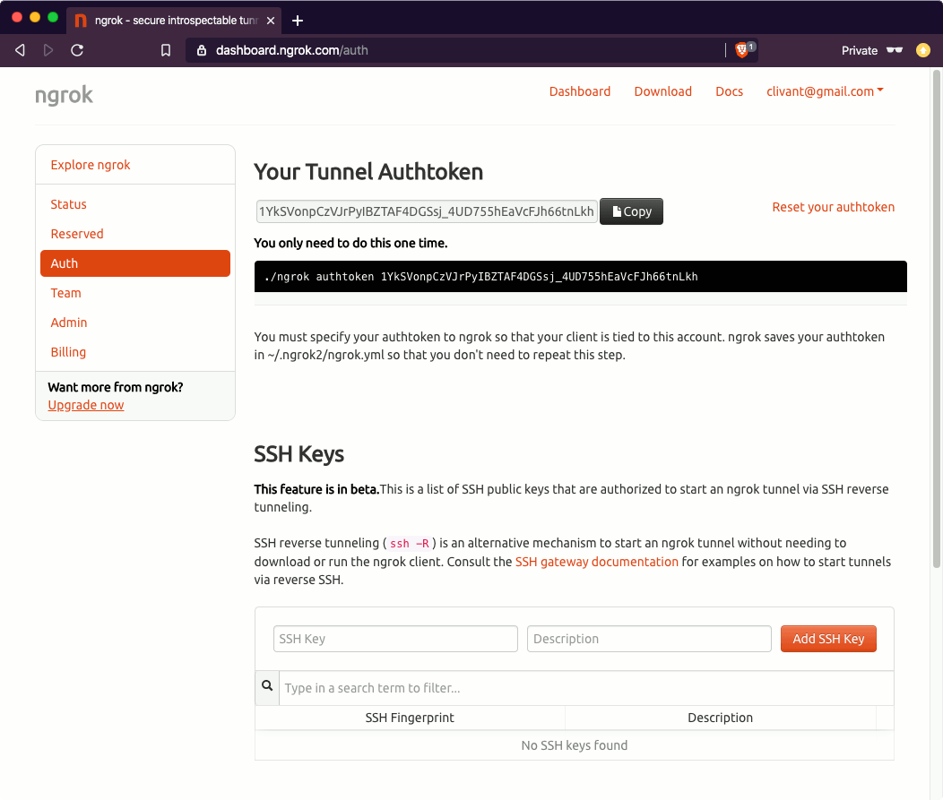 ngrok auth page in dashboard