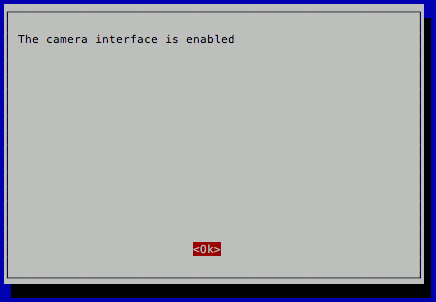 raspi-config notification that camera interface is enabled