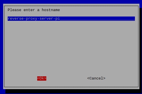 raspi-config on Raspbian Stretch 20181113 showing reverse-proxy-server-pi as hostname