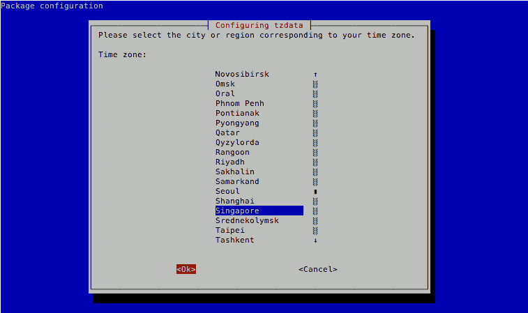 raspbian teamviewer install