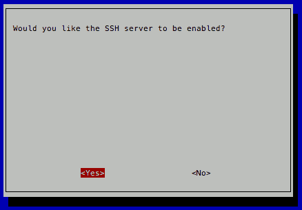 raspi-config Raspbian Jessie Lite with enable SSH dialog Yes selected