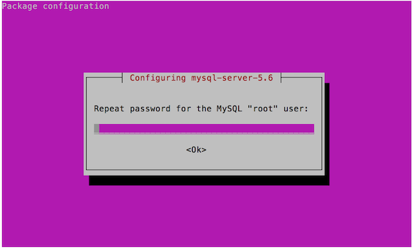 Password screen for MySQL database root user