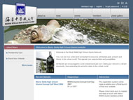 mshsalumni.com screenshot