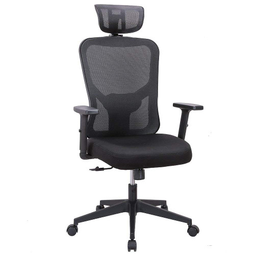 Cedric Ergonomic Mesh Office Chair