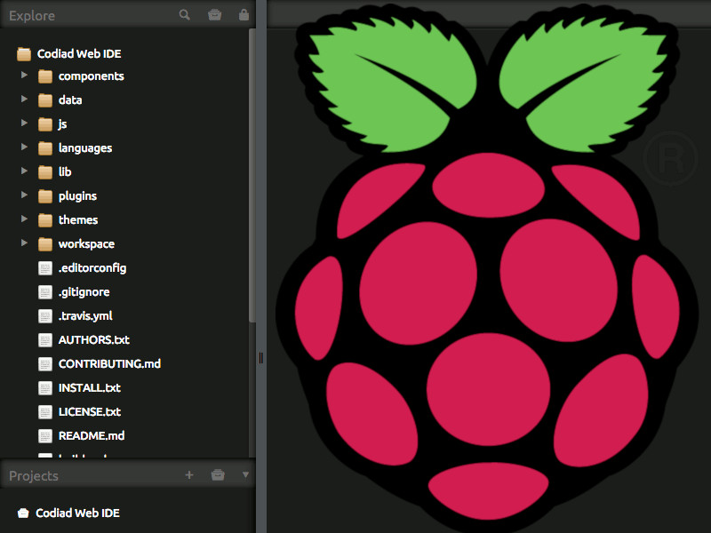 Raspberry Pi logo with Codiad IDE screenshot